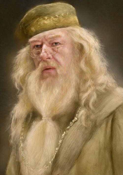 放图(可跳过)-穿成哈利的弟弟-话本小说网