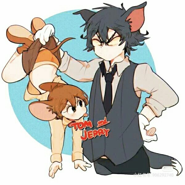 猫和老鼠之猫鼠cp