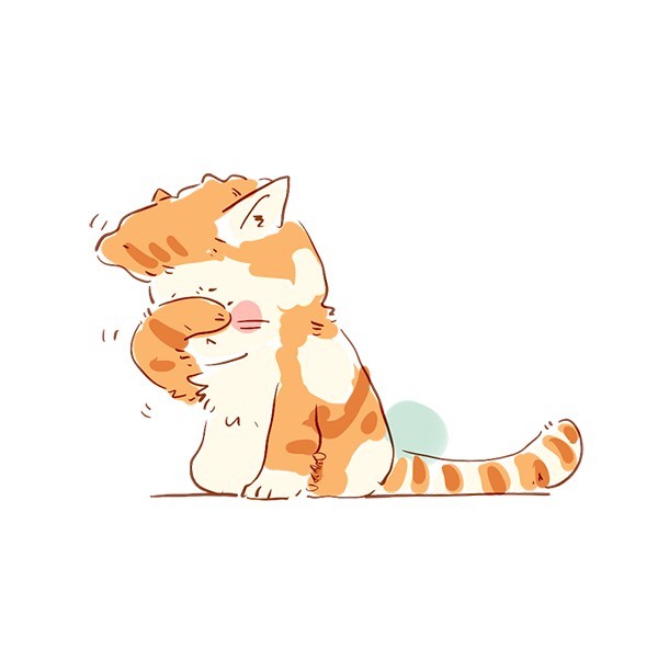 第八章:你别喜欢上别人.-周九良:橘猫先生-话本小说网