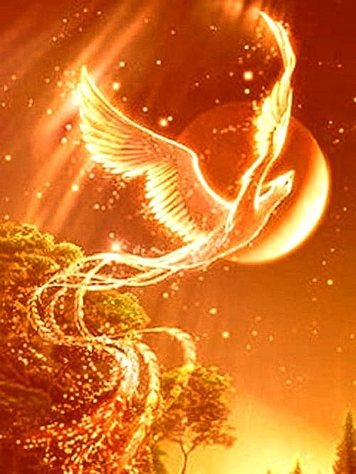 凤凰血-罗裙莲步最新章节-免费小说-全文免费阅读-罗裙莲步作品-话本