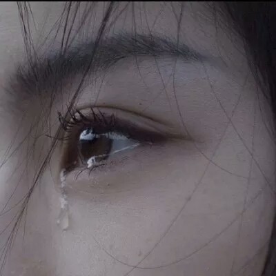 明星同人小说 刘也:万千星星不及你半分说完,深深鞠了一躬 而台下