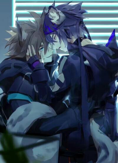 凹凸世界之双面骑士安迷修