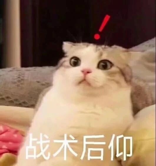 难以置信表情包熊猫头图片