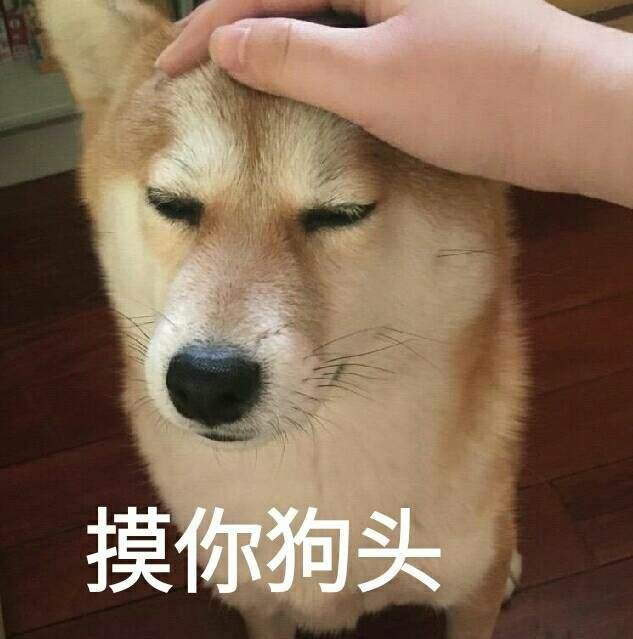 狗狗表情包