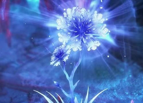 忘穿秋水露-棠月无歌最新章节-免费小说-全文免费阅读-棠月无歌作品