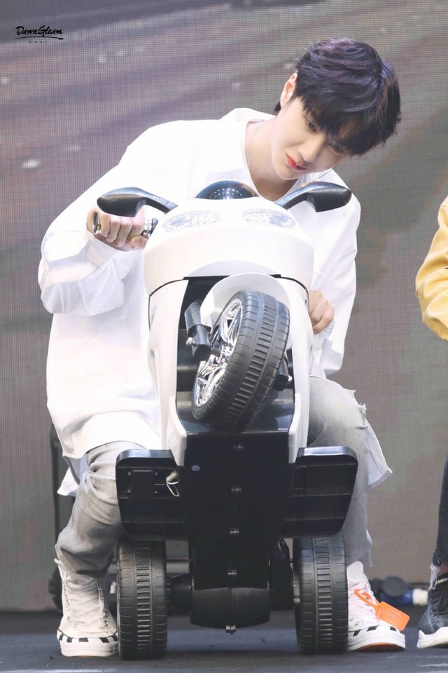 肖战:我的狼族男友