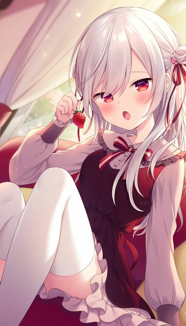 查理九世之凉笙墨染