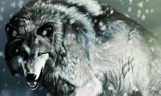 查理九世之凉笙墨染