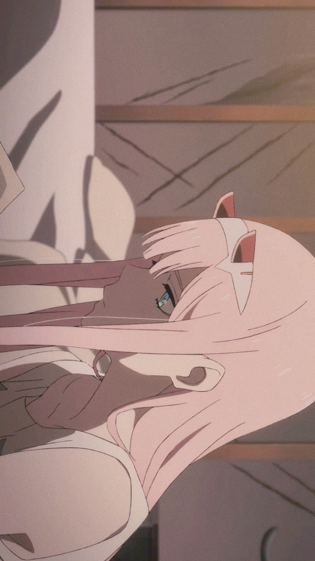 国家队我能驾驶鹤望兰