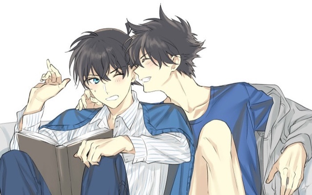 侦探新一怪盗快斗