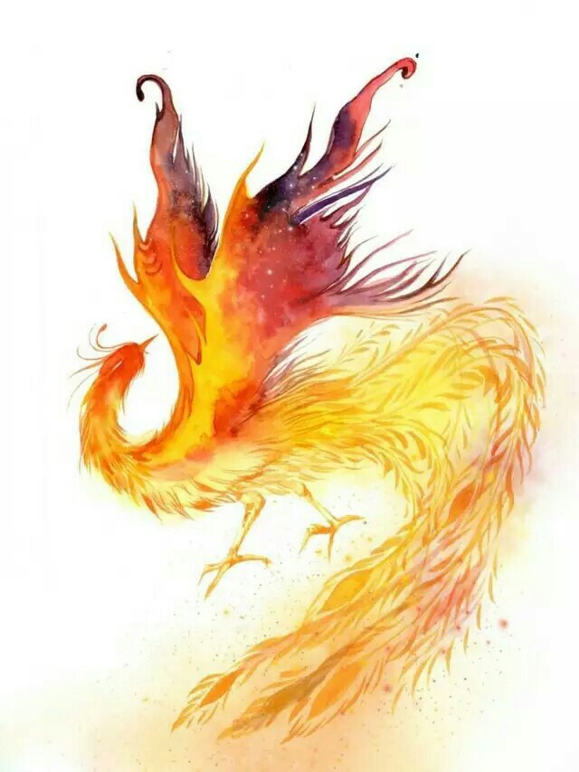 【美图篇】神兽图片——凤凰