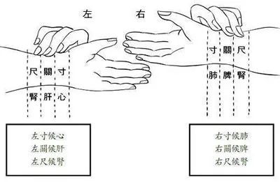 孔子叉手礼图解图片