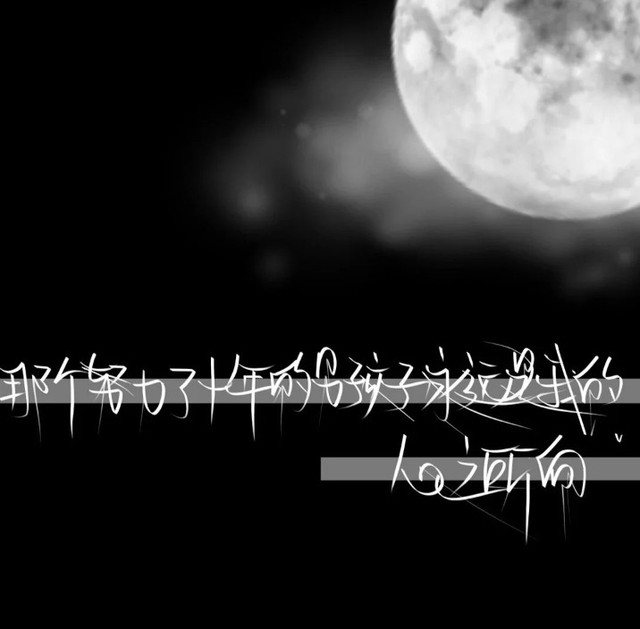 三观超正的追星文案