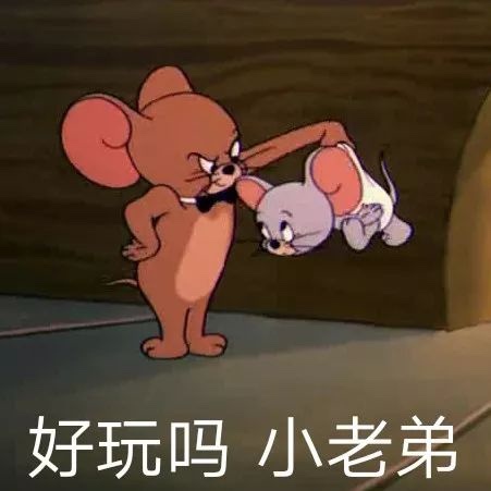 精选猫和老鼠表情包(一)-香菜分享馆(头像壁纸封面)-话本小说网