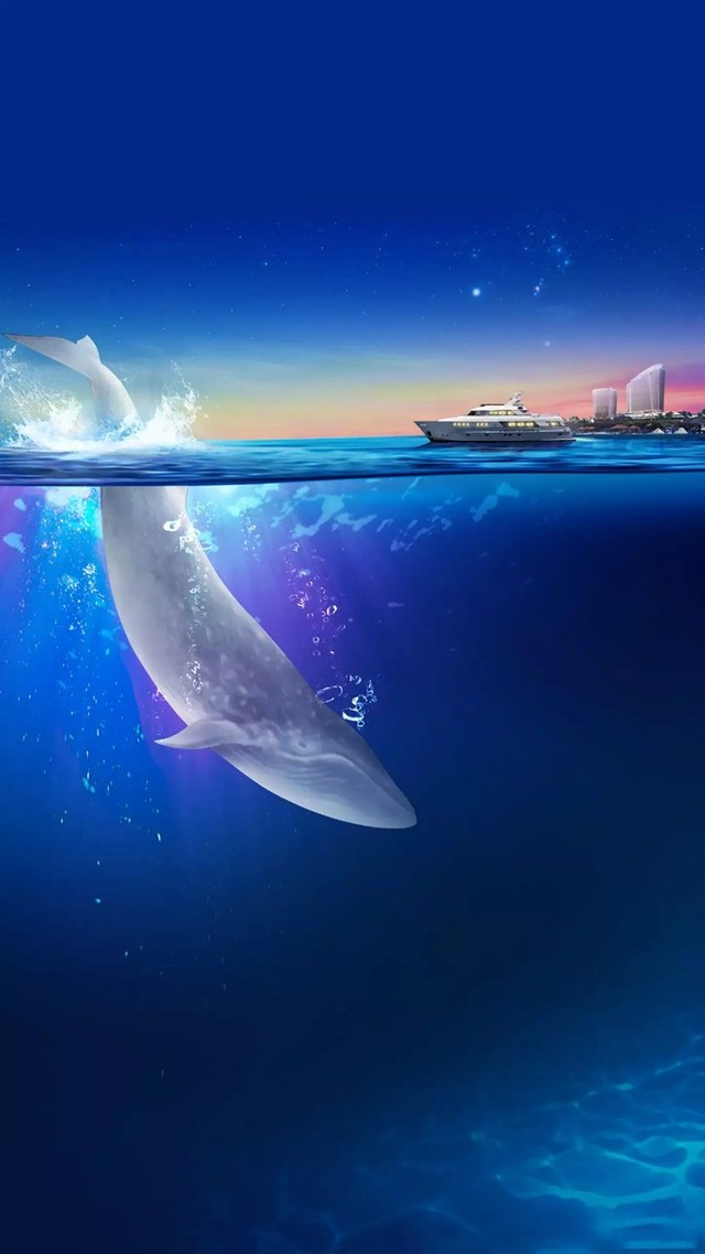 鲸落一直鲸鱼最后一次拥抱大海的方式