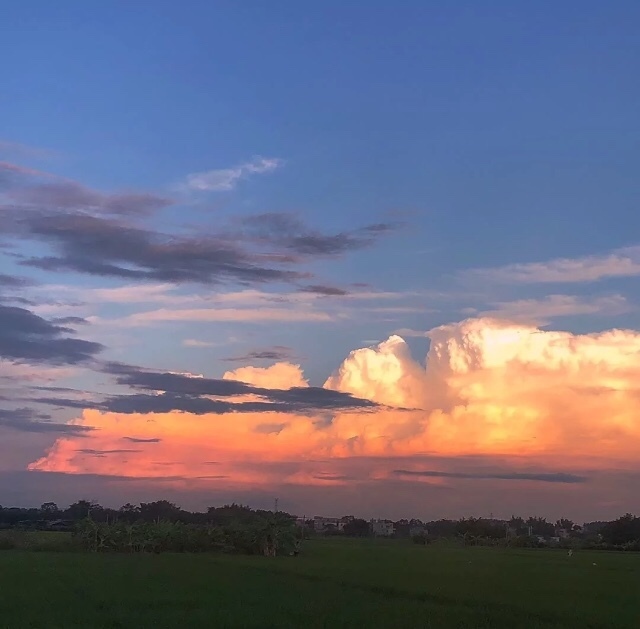 刘耀文:与你共渡余生