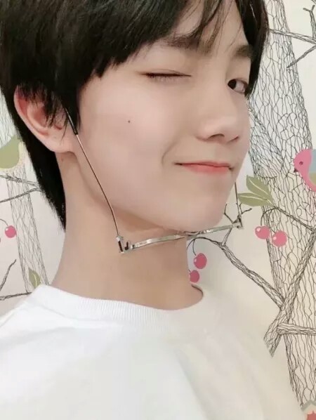 苏新皓-十八楼照片集-话本小说网