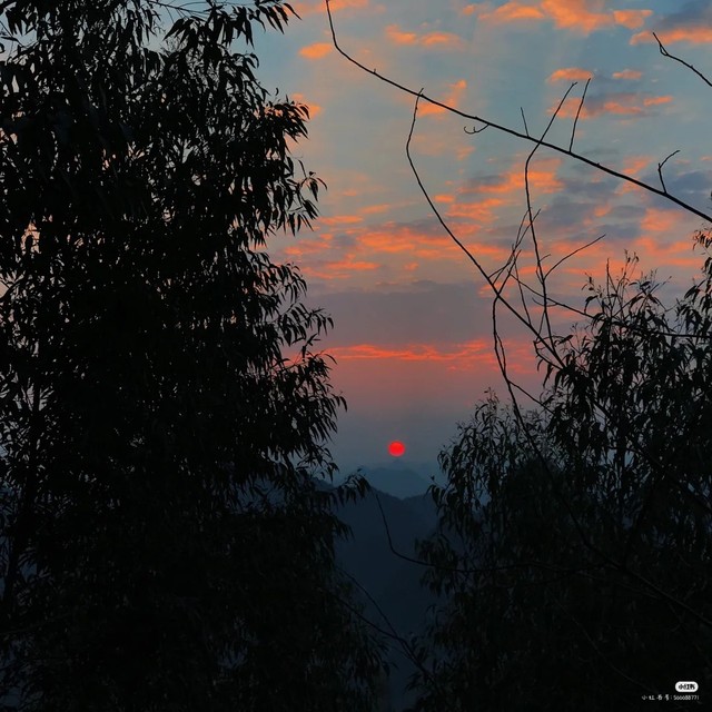 刘耀文坠入星眸