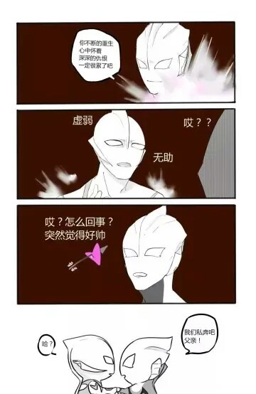 泰罗托雷