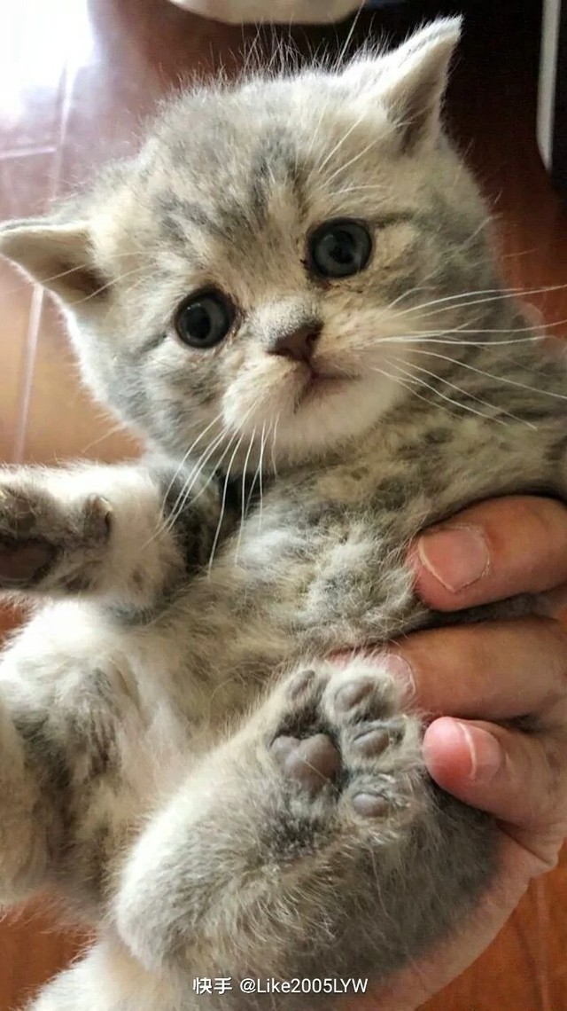 宋亚轩宋我一个文文