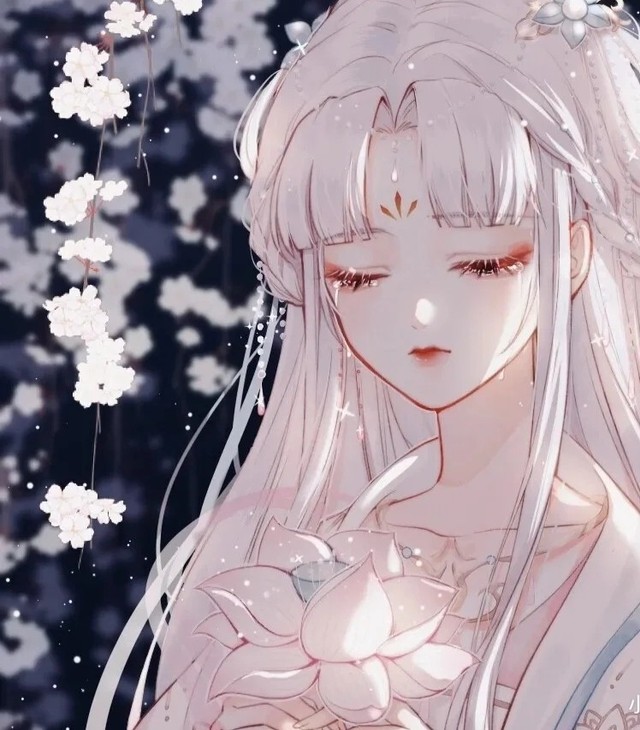 陈情令:清世妖女