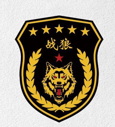 是特种兵战狼团的队长邬童注意邬童和尹柯关系非常好邬童和沙婉高中