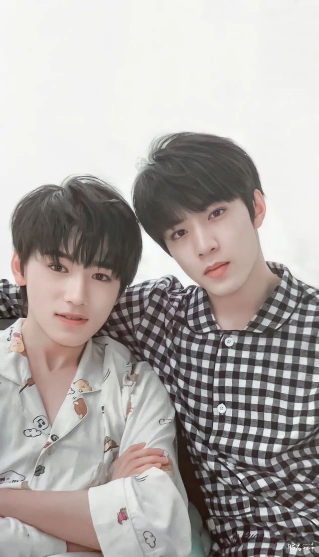 25张真媛omega信息素:荔枝性格:善良,活泼贺峻霖姐姐24贺缇娜beta性格