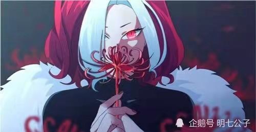 穿越凹凸世界金的姐姐