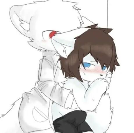 作者与lin的相遇-changed同人作-话本小说网