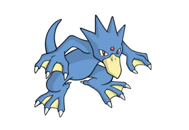 第十一章可达鸭的进化