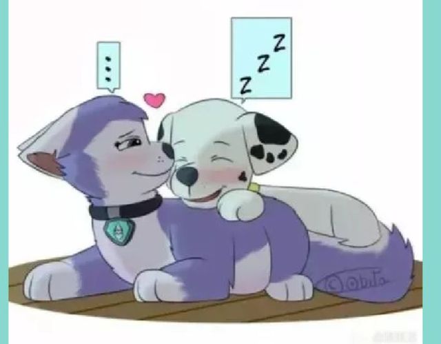 汪汪队奇毛珠天爱情图片