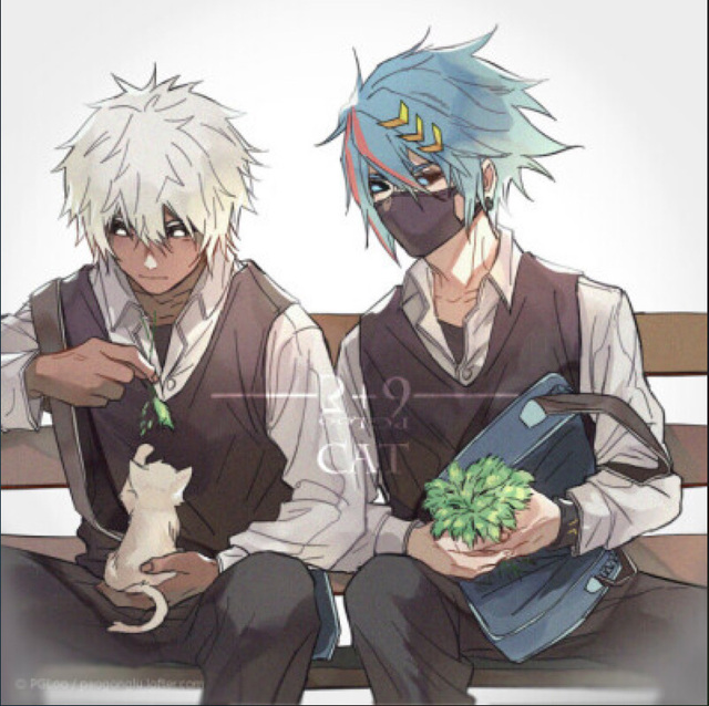 凹凸世界之all帕校园文