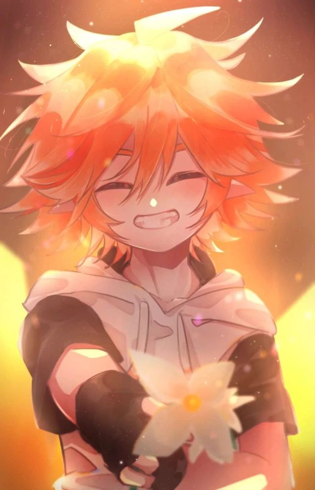 番外篇:网红带领你探店猫咖