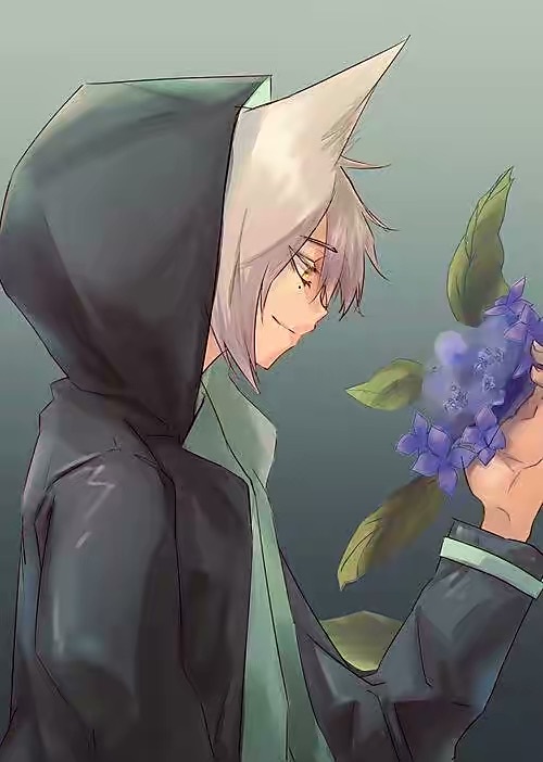 鬼狐天冲的生日-凹凸世界之雷狮的妹妹雷梦梦-话本小说网