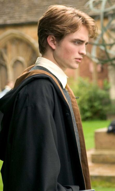 第十八章塞德里克·迪戈里(哈利波特)-综影视之图集-话本小说网