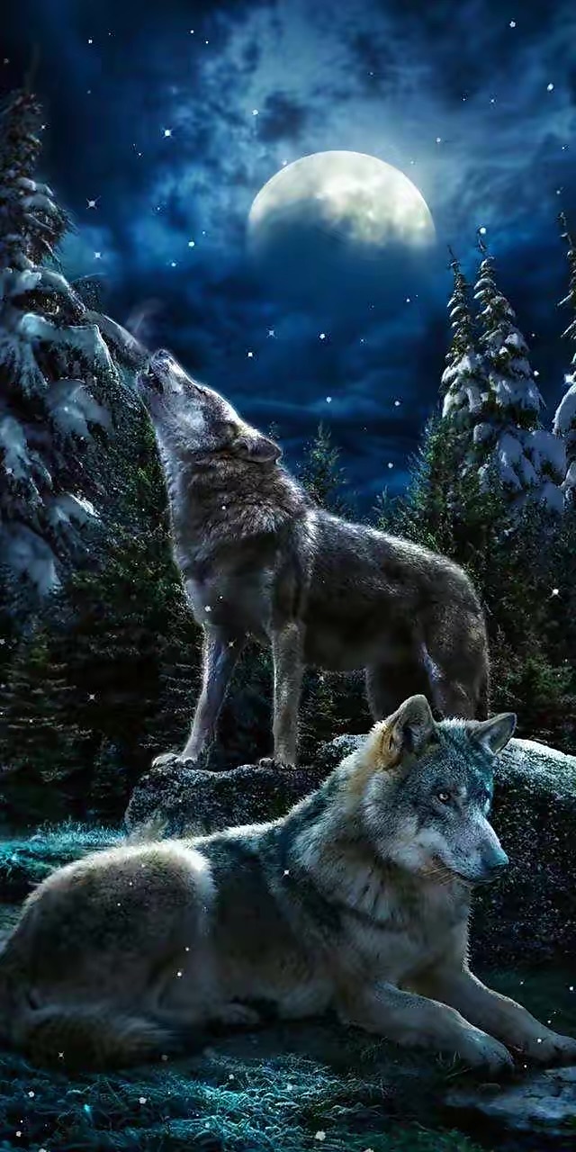 实战训练-狼王梦续写之紫岚重生为王(第一季)-话本小说网