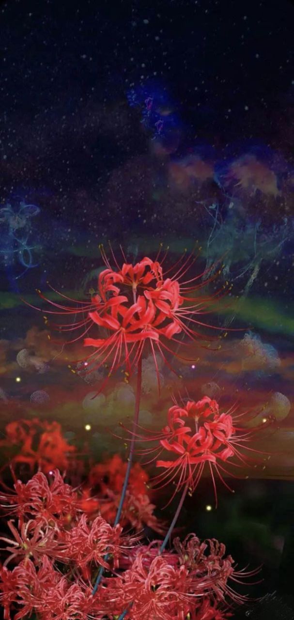 忘川河畔的彼岸花-康宗宪文学选刊-话本小说网