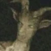 魔影三