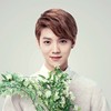 luhan