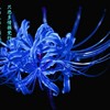 群众1