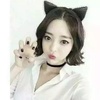 云杉