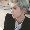 鹿晗