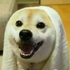 某老师