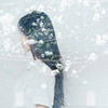胡桃