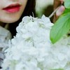 白莲花白恋桦