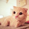 红尘、