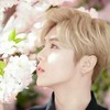 鹿晗