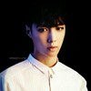 lay