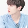 鹿晗