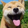 朱老师